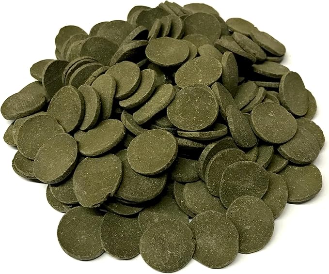 Large 18mm Algae Wafer - Algae Wafers for Bottom Feeders - The Best Pleco Wafers & Pleco Food Available - Algae Wafers for Snails (10 lb)