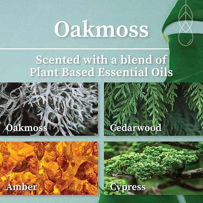 Hemlock Park Crackling Wood Wick Candle Handcrafted with Natural Coconut Wax (Large 16 oz, Oakmoss)