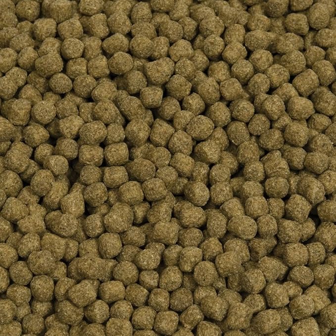 Hikari Economy Staple Koi Food 44 lb Medium Pellet