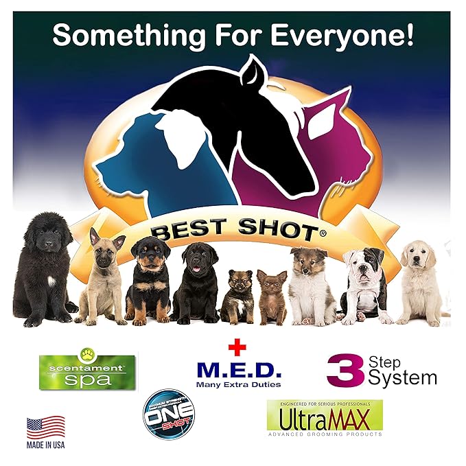 Best Shot Spa Oatmeal Body Wash, Lemon Vanilla, 16 oz