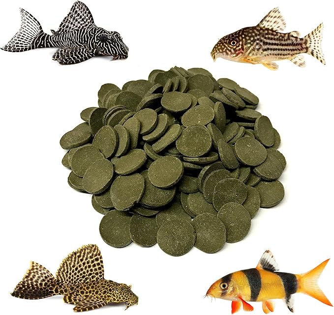 Large 18mm Algae Wafer - Algae Wafers for Bottom Feeders - The Best Pleco Wafers & Pleco Food Available - Algae Wafers for Snails (5 lb)
