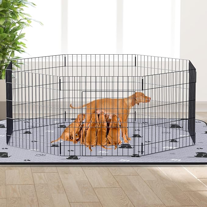 JollyMate 63"x63" Washable Pee Pad for Dogs, Ultra-Absorbent and Leak-Proof Whelping Pad, Non-Slip Reusable Puppy Pad, Waterproof Dog Pee Pad, 1 Pack