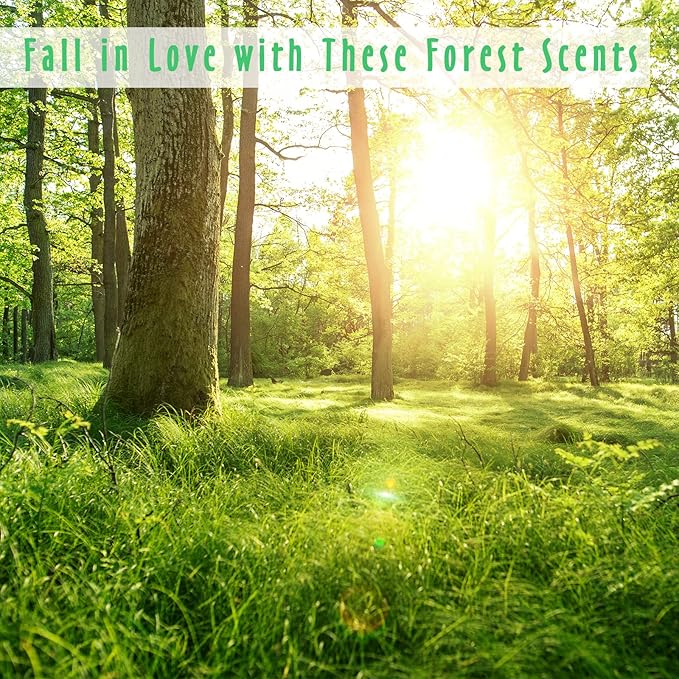 Fragrance Oil, MitFlor Woodland Set of Scented Essential Oils, 10ml x 6, Soap & Candle Making Scents, Essential Oils for Diffusers for Home, Pine Forest, Cedarwood, Oakmoss Amber & More