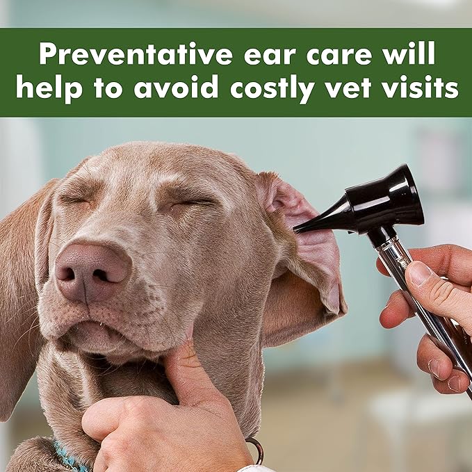 Arava Ear Cleaner Wipes for Dogs Cats Puppies Kittens - 100 Count - Natural Medicated Cleansing Deodorizer - Removes Dirt Wax - Pet Wipes for Cat Ear Cleaning, Dog Ear Cleaner