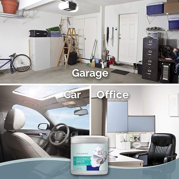 SMELLS BEGONE Air Freshener Odor Absorber Gel - Absorbs Odor from Bathrooms, Cars, Pet Areas, Boats and RVs - Made with Essential Oils - Soothing Breeze Scent - 15 Ounce