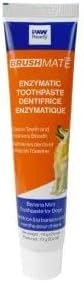 Paw Ready from Doggy Breath to Doggy Fresh Dog Dental Care Kit Includes Enzymatic Toothpaste for Dogs Plus BrushMate Dual Brush Head Toothbrush with Angled Bristles