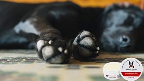 Warren London Paw Defense Wax | All-Season Dog Paw Balm with Beeswax, Aloe & Vitamin E | Shields Pads from Hot Pavement, Ice & Rough Terrain | Soothes Dry, Cracked Paws | Made in USA