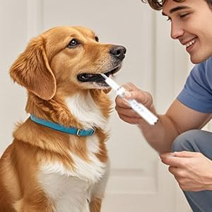 Jellytree Dog Plaque and Tartar Remover,Dogs Teeth Cleaning Kit with Led Light,5 Modes Dog Tooth Plaque Remover,Tooth Cleaner for Dogs and Cats,Low Noise Tartar Remover for Teeth,