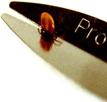 ProTick Remedy (2 Pack) – Precision Steel Tick Remover, Magnifier, Chain, Tick ID Card, Tick ID Information. Helps Deal with All Ticks Sizes from Humans and Animals