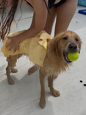 HydroSwipe for Dogs - Chamois Cloth for Drying Pets - Super Absorbent, Soft, and Large Towel 24" x 32" - Odor Resistant, Reusable, and Dries Stiff to Stay Fresh