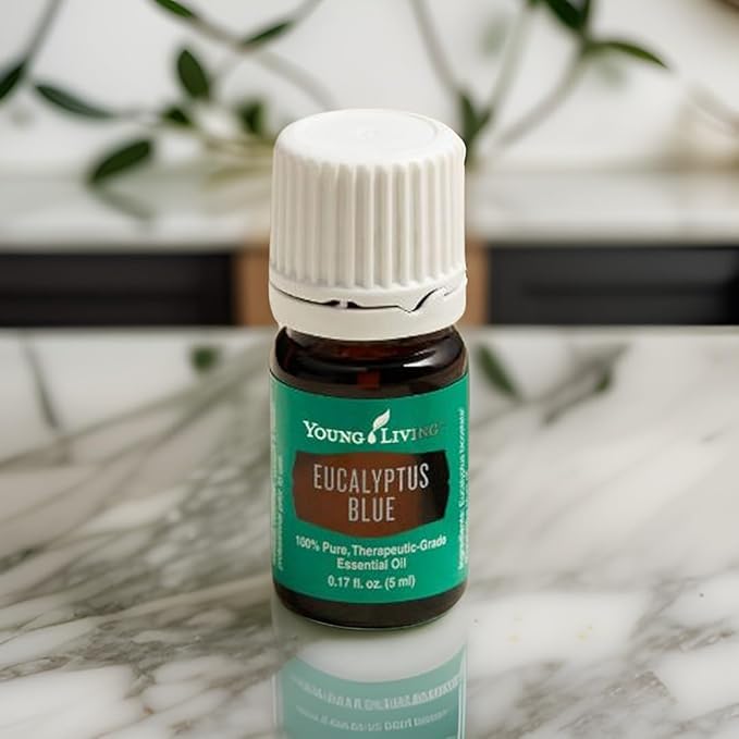 Young Living Eucalyptus Blue Essential Oil | 5 ml | Pure, Invigorating Botanical Extract | Crisp, Refreshing Aroma for Diffusers, Wellness, Comfort, and Soothing Aromatherapy Experience