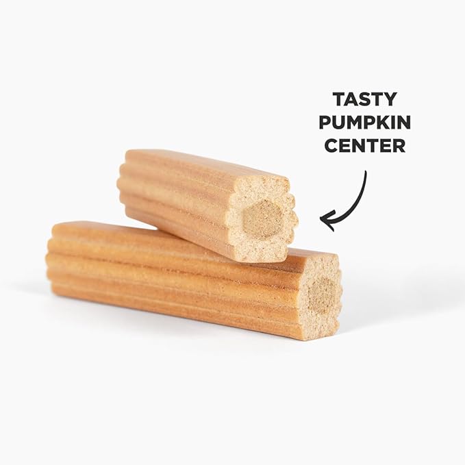 Hive Pumpkin Dental Treats for Dogs — Healthy, Vegetarian, Natural Pumpkin and Honey Flavor, Vegetarian Chews, Made in The USA (Chew Sticks, Large Breeds)-Clean Teeth and Freshens Breath