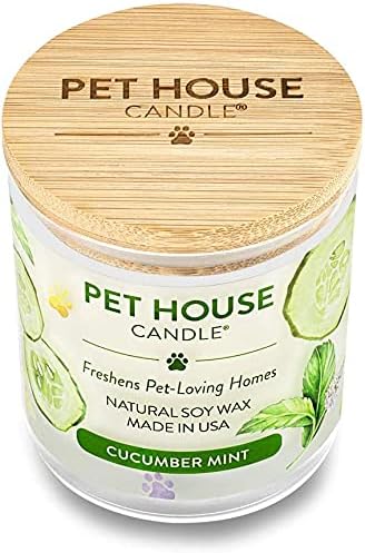 Pet House Candle Plant-Based Odor Friendly Candle, Clean Burning, Long Lasting Room Air Freshener with a 60 Hour Burn Time - Cucumber Mint