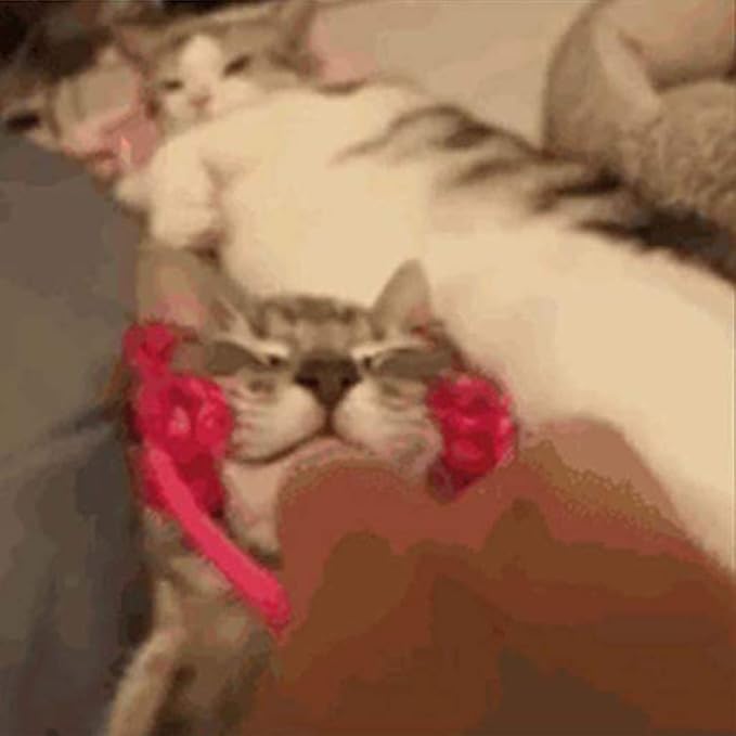 Face Massager for Cat Pet Face Massager Roller Cat Grooming Tool with 4 Massager Roller Handle Comfortable Grip