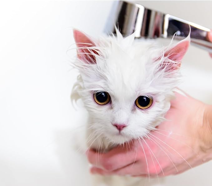 Hypoallergenic Dog Shampoo and Conditioner in 1, Cat Shampoo, Moisturizing, Tear-Free for Sensitive Skin, Puppies, with Pet-Friendly Fragrance, Includes Silicone Bath Brush