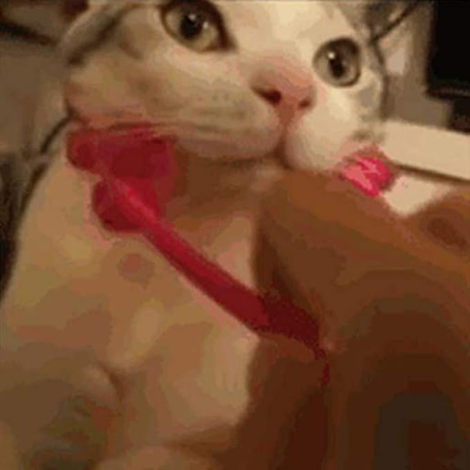 Face Massager for Cat Pet Face Massager Roller Cat Grooming Tool with 4 Massager Roller Handle Comfortable Grip