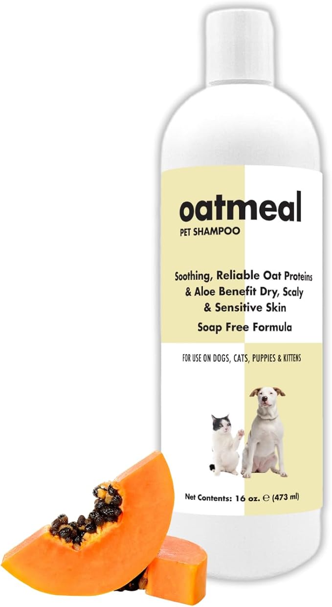 Itch Relief Oatmeal and Aloe Pet Shampoo 16 oz. for Dogs & Cats | Anti-Itch & Deodorizing Formula, Soothes and Moisturizes Dry Itchy Sensitive Skin
