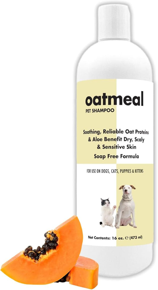 Itch Relief Oatmeal and Aloe Pet Shampoo 16 oz. for Dogs & Cats | Anti-Itch & Deodorizing Formula, Soothes and Moisturizes Dry Itchy Sensitive Skin
