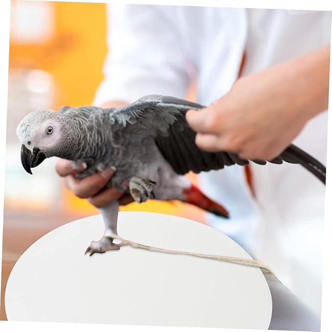 100pcs Round Bird Cage Liners Absorbent Cushions for Parrots Non-Woven Lining Mats Diameter Safe for Birds Daily Essential