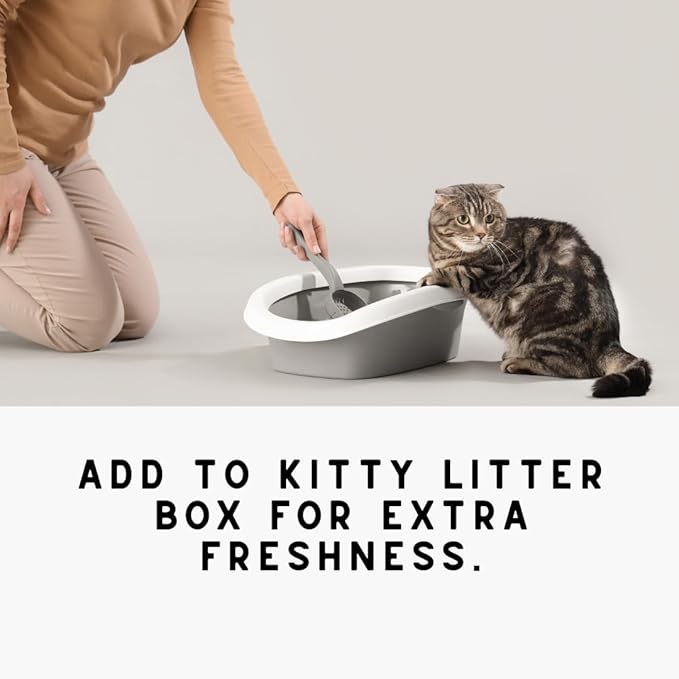 Home "Sea Mist" Cotton Blossom & Linen Natural Carpet Powder For Vacuuming, Mattress & Upholstery Freshener, Cat Litte/Dog Bed Odor Eliminator For Homes With Kids & Pets(Pack Of 4)