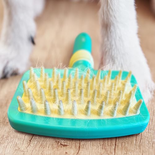 Jelly Pet Deshedding Dog Bath Brush Scrubber for Short Haired Dogs, Dog Deshedding Brush Tool, Bath Brush for Puppy, Pet Shower Scrubber, Shower Supplies, Pet Wash Brush, Puppy Grooming Essential