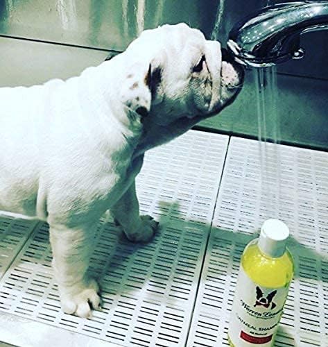 Warren London Oatmeal Dog Shampoo - Fast Itch Relief for Dry, Sensitive, & Irritated Skin - Infused with Vitamins & Neem Oil - Made in USA - 1 Gallon