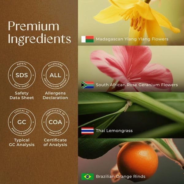 Stress Relief Oil Essential Oils Blend for Diffuser & Immune Essential Oil for Breathing Gya Set - 100% Natural Aromatherapy Grade Essential Oils Set - 2x10ml - Gya Labs