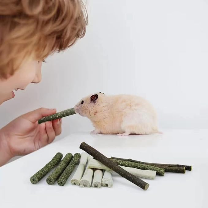 300g Guinea Pig & Rabbit Chew Toys with Apple & Timothy Sticks - Prevent Overgrown Teeth with Sweet Bamboo Treats - Ideal Rabbit Treats Included