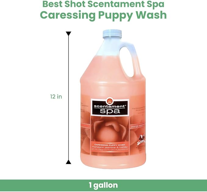 Best Shot Scentament Spa Caressing Puppy Wash, Mandarin Jasmine Honey, 1 Gallon