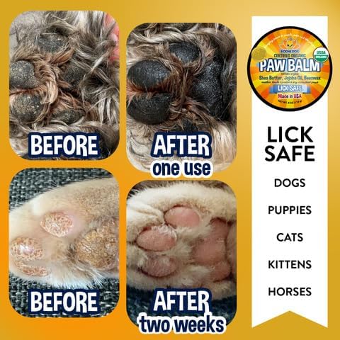 Bodhi Dog Paw Balm - USDA Certified Organic, Natural Healing & Soothing for Dry, Cracking, Rough Pet Paws- Protects, Restores, & Relieves Chapped Paws- Better Than Paw Wax (4oz)