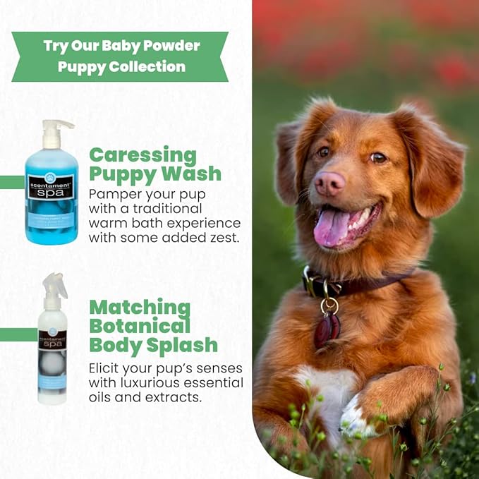 Best Shot Scentament Spa Caressing Puppy Wash, Baby Powder, 16 oz