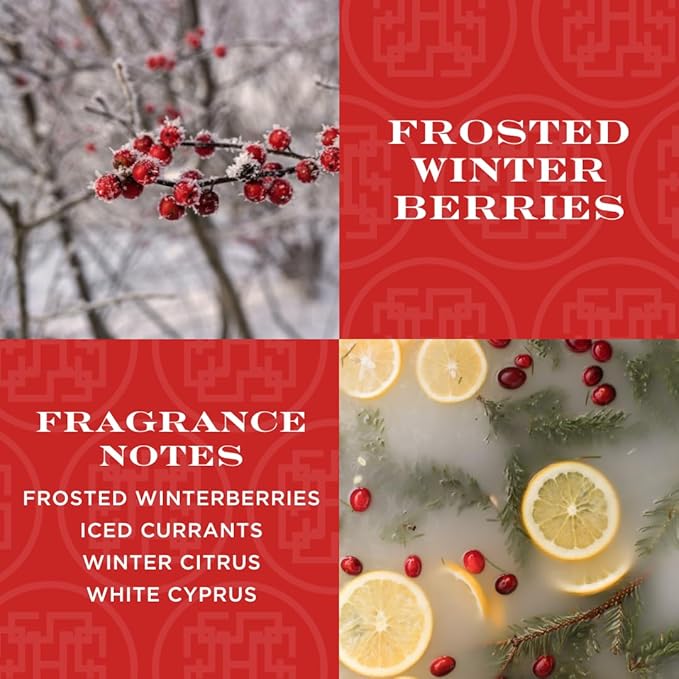 HomeWorx by SLATKIN + CO. Candle- Frosted Winterberries, 18 oz. Premium Scented Candle - 30-55 Hours Burn Time