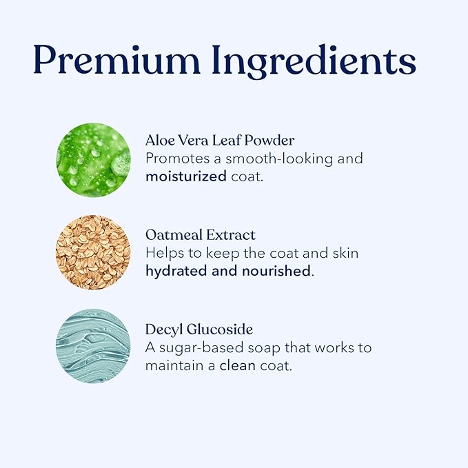 Honest Paws Dog Dry Shampoo - Waterless No Rinse Spray Formula Reducing Itch Cleanse Hydrate Nourish Dry Skin and Smelly Coat Help Decrease Odor Shedding and Allergies - Mandarin & Berry - 8 oz