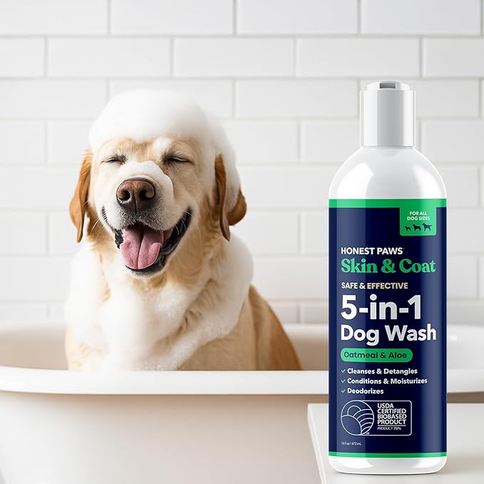 Honest Paws Dog Shampoo and Conditioner - Premium Dog Wash for Allergies and Dry, Itchy, Moisturizing for Sensitive Skin - Sulfate Free, Plant Based, All Natural - Oatmeal & Aloe -16 Fl Oz