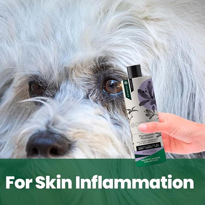 Holistic Natural Anti-Fungal Shampoo for Dogs, Cats & Horses: Veterinarian Recommended: Relieve Itching & Flaking Skin Caused by Fungal Infections & Skin Conditions - Made in USA - 16 oz