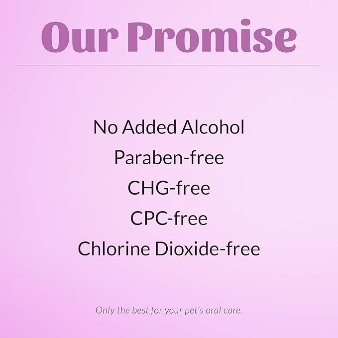 SKOUT'S HONOR Pet Dental Wipes - Fights Plaque and Tartar, Freshens Breath Fast, No Brushing Required, 50 Sheets, 2-Pack