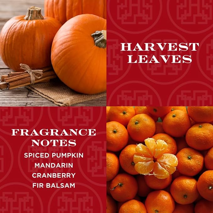 HomeWorx by SLATKIN + CO. Candle- Harvest Leaves, 8 oz. Premium Scented Candle - 25-35 Hours Burn Time