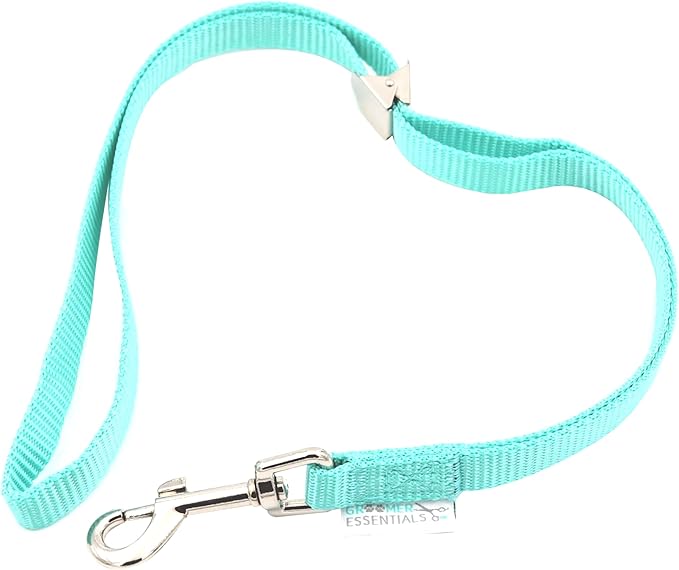 22" Grooming Loops in Turquoise - Secure and Stylish Restraints for Pet Grooming - Set of Essential Tools for Professional and Home Grooming