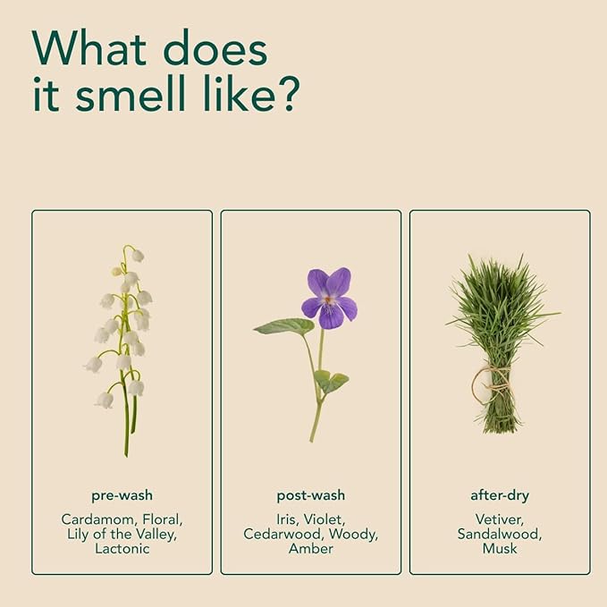 Kind Laundry In Wash Scent Booster Beads - Wood Haven - 100% Plant Based - Natural Laundry Booster Beads & Smell Deodorizer - Environment Friendly Odor Eliminator for Clothes (320 grams)