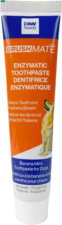 Paw Ready from Doggy Breath to Doggy Fresh Dog Dental Care Enzymatic Toothpaste for Dogs | Cleans Teeth and Freshens Breath | Safe for Puppies, Clinical Care, Banana Mint Flavor - 1 Pack 70g (2.5 oz)