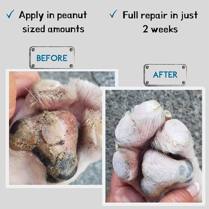 WashBar Dog Paw Balm for Cracked Paws | Natural Lick-Safe Paw Soother for Dog Paws, Nose and Skin | 1.7 oz Tin, Dog Paw Cream to Moisturize, Protect and Repair from Foot to Snout