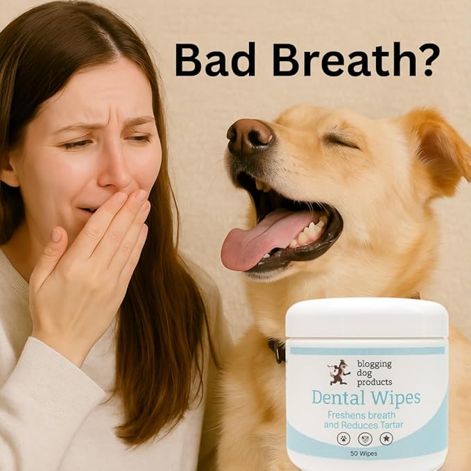 blogging dog products Dental Wipes for Dogs & Cats – Freshens Breath, Reduces Plaque & Tartar – Easy-to-Use Pet Oral Wipes for Cleaner Teeth & Healthy Gums – 50 Count