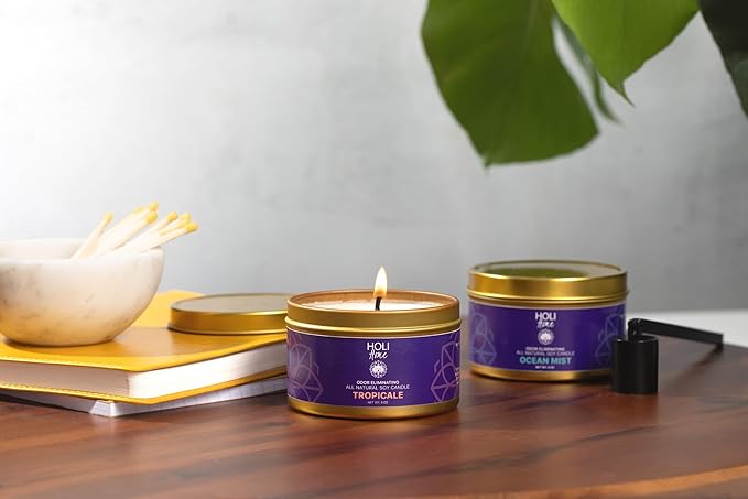 HOLI Pet Odor Eliminator Candle – Ocean Mist Scent – All Natural Soy Wax, Paraben & Phthalate Free, Pet Safe, Long-Lasting 60-Hour Burn, Non-Toxic & Plastic-Free Air Freshener for Home