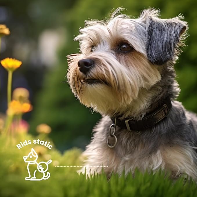 Best Shot Pet Scentament Spa Botanical Body Splash, Fresh Apple Lily, 8 oz (ZX8800 08 02)