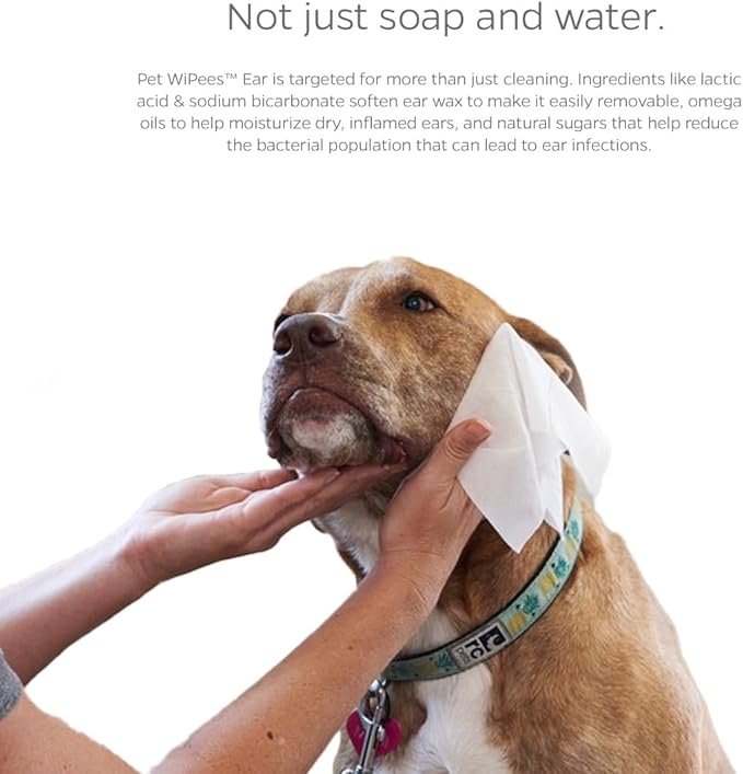 Ear Pet WiPees™ – 100 Ear Wipes for Dogs & Cats, All Natural Dog Ear Wipes for Infection & Itchy Ears, Gentle Cat & Dog Ear Cleaner for Daily Hygiene (Natural, 100ct)