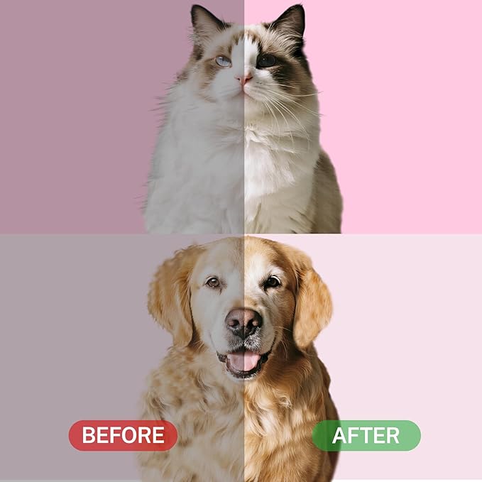 Pet Steam Brush for Cats, 4 in 1 Cat Brush for Long Haired Cats Kittens Dogs for Shedding Grooming Massage Self Cleaning (White Orange)