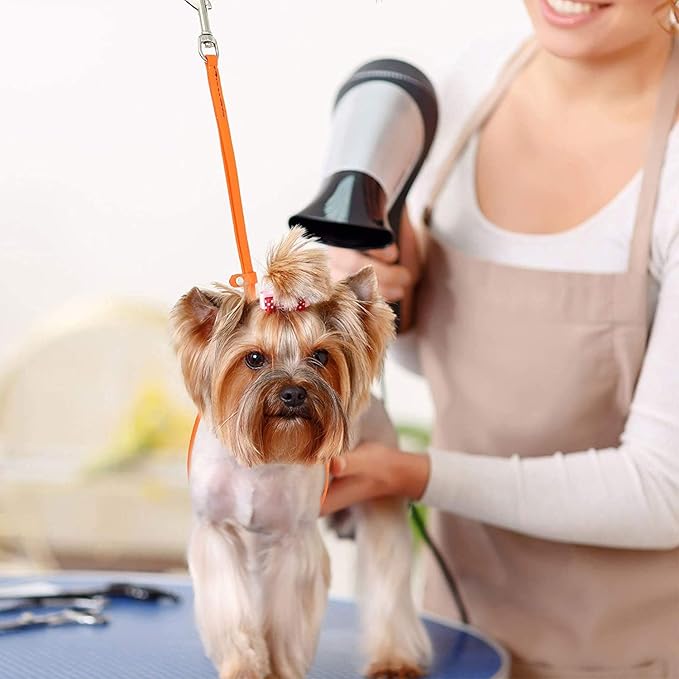 Jelly Pet Grooming Loop for Dogs, Fits Most Pet Grooming Tubs/Tables, Easy to Clean, Waterproof & Durable Noose Loop, Stronger Than Leather, Made in The USA (1/2'' x 24'', Royal Blue)