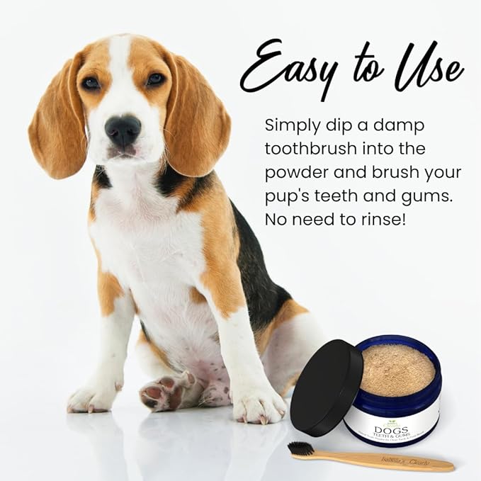Isabella's Clearly Teeth & Gums, Natural Toothpaste for Dogs for Bad Breath, Tartar, Teeth Whitening | Leave On Tooth Powder, Tasty Cinnamon Flavor with Coconut and Kelp | Vegan, Made in USA