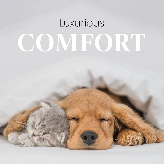 Best Shot Scentament Spa Fortifying Puppy Conditioner, Ideal Skin Care Product, for Deep Cortex Conditioning, Fresh Apple Lily, 1 Gallon