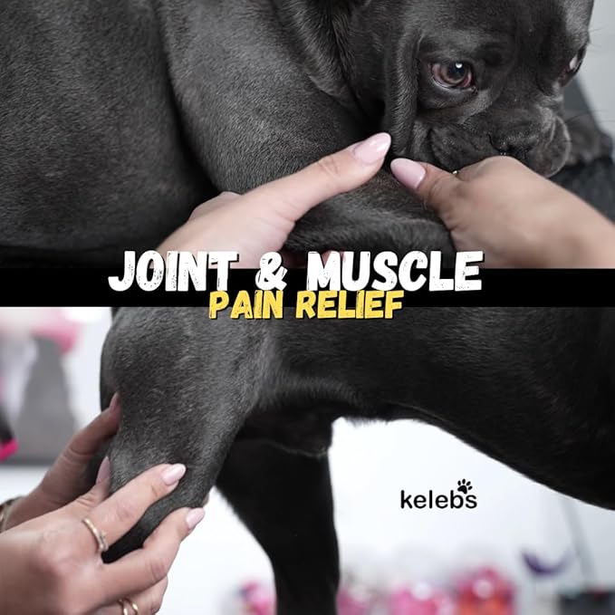 KELEBS Dog Arnica Massage Oil | Pain Relief for Muscles, Arthritis, HIPS, and Joints | for Active & Senior Dogs | Organic Essential Oil Blend with Arnica | Glass Bottle (2 Pack)